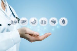 Read more about the article Your Ultimate Guide for Finding the Best Primary Care Doctor Near Raymond, Maine