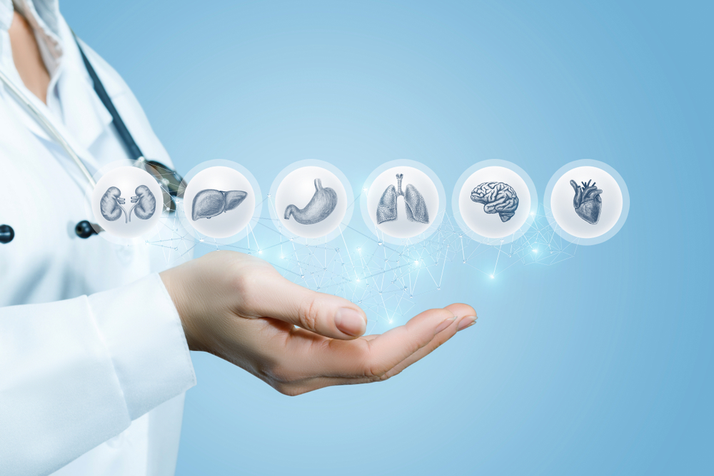 Read more about the article Your Ultimate Guide for Finding the Best Primary Care Doctor Near Raymond, Maine